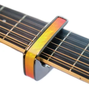 thalia capos thalia capo Chrome Sunrise Shell タリア・カポ タリアカポ