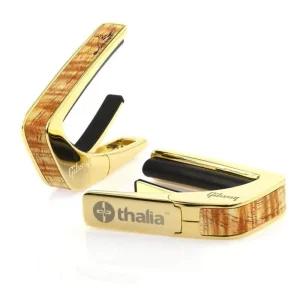 thalia capos thalia capo Gibson Hummingbird Treble Nose 24K Gold タリア・カポ タリアカポ