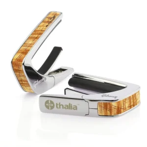 thalia capos thalia capo Gibson Hummingbird Treble Nose Chrome タリア・カポ タリアカポ